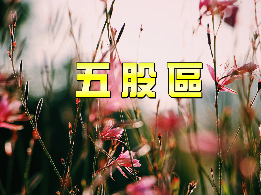 五股區