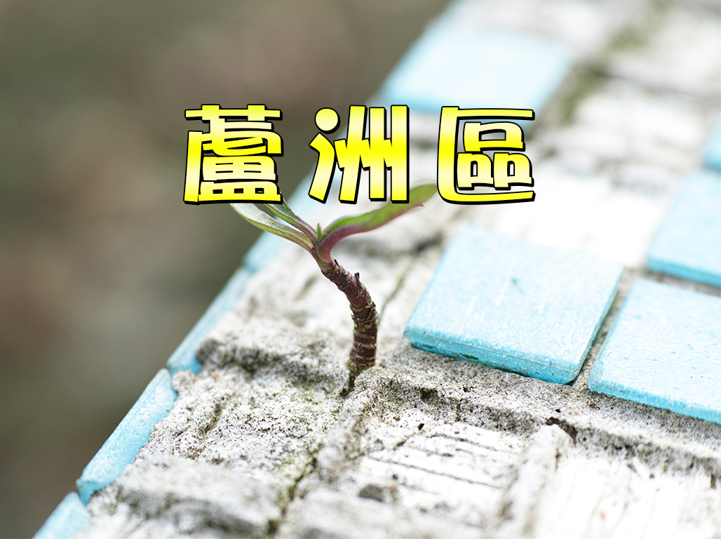 蘆洲區